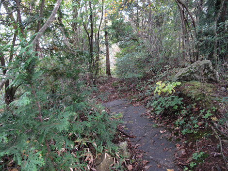 20181009hike (153)